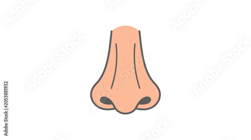 Foto A close-up illustration of a human nose on a white background.