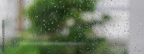 Quadro su tela Raindrops on a window create a serene atmosphere, blurring the view of lush gree