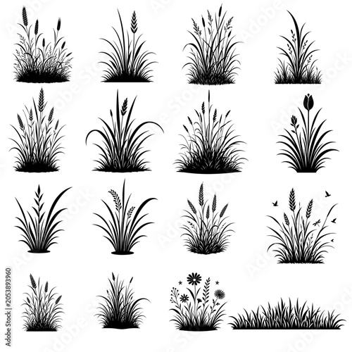 wild grass and wheat silhouette collection with reeds, cattails and meadow plants