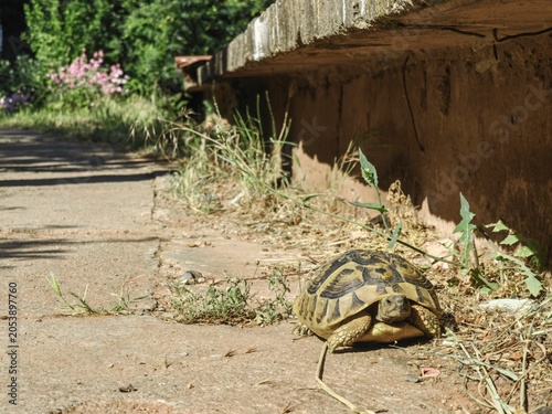 The Art of Slow Living.