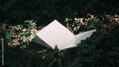 Open blank white notebook lying on the mossy forest floor