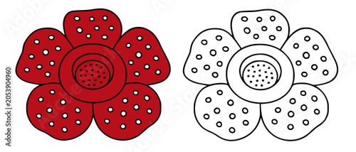 Fotografie Rafflesia flower illustration, line art and colored icons, for coloring page