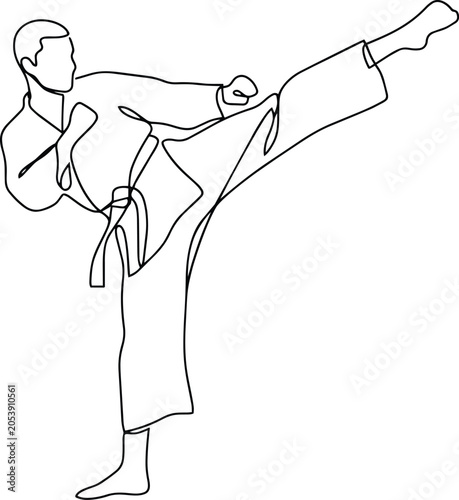 Obraz na plátne Martial artist performing a dynamic high kick in a continuous line illustration