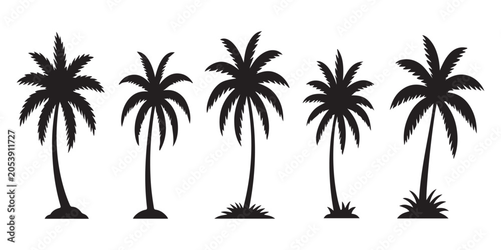 Fototapeta premium Various palm tree shapes in black color vector set for summer vacation and tropical destination branding projects.