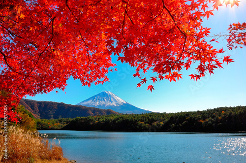 秋の紅葉越しに見る富士山
