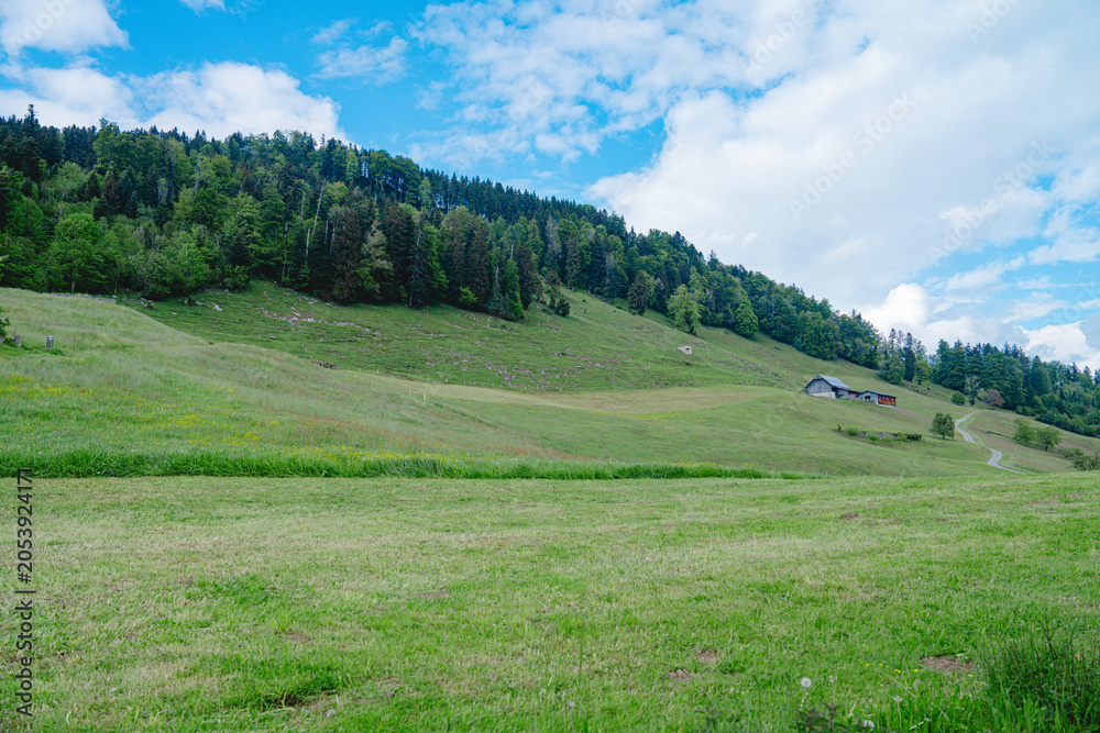 Fototapeta premium スイスの美しい風景