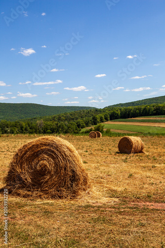 Hay bales on a farm during summer day in a rural area