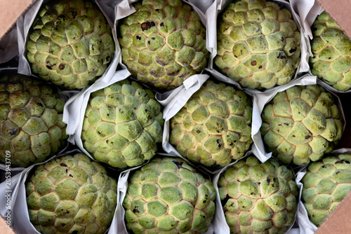Sugar apple, pinha, sweetsops or custard apples