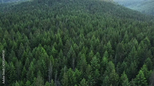 Drone view of green forest and majestic mountain valley with sun flare in summer day. Europe outdoor beautiful nature scape mountains wild aerial establisher. Hiking paradise