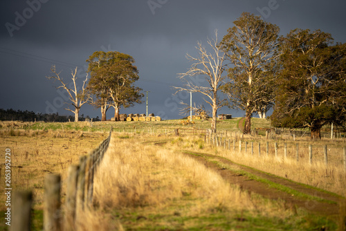 Foto electric wire fence on a wooden pine post fence post on a farm in australia