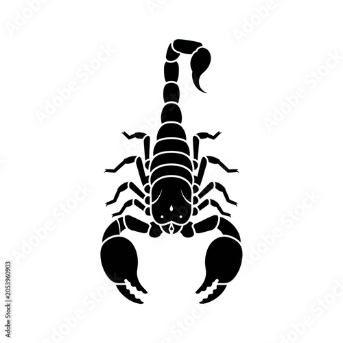 Photography Black silhouette of a scorpion insect.