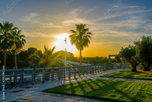 Atardecer en el Parque Juan Carlos I de Madrid