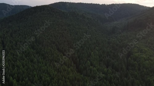 Aerial view of beautiful summer mountain range. Drone shot amazing evening Carpathian mountains. Aerial footage various forests at night time. Beauty of earth concept