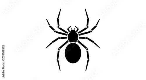 Bild auf Leinwand Black spider from the front view.