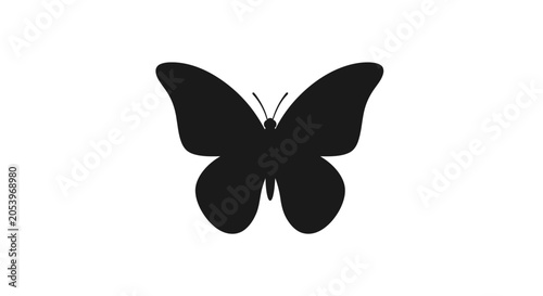 Black butterfly silhouette flying alone.