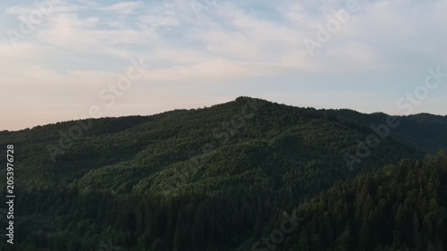 Aerial drone footage of beautiful green forest treetops flyover in mountains during sunset. Nature background footage. Pristine and clean peaceful scenery. Exploration and travel destination	