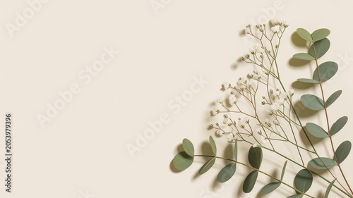 Delicate sprigs of white baby's breath flowers and rounded green eucalyptus leaves arranged on a soft beige background casting subtle shadows creating a serene and minimalist composition natural