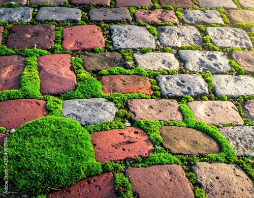 Old stone wall covered with green moss and grass shows a weathered rock texture of abstract brick patterns on an ancient street pavement