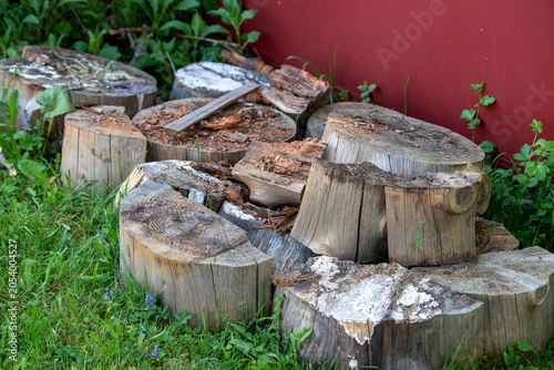 Ensemble de vieilles souches d'arbres cassées, qui se décomposent, avec des champignons. Entassées dans l'herbe le long d'une façade.