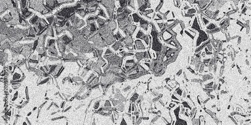 Slika na platnu Detailed abstract monochrome background with interconnected geometric and organi