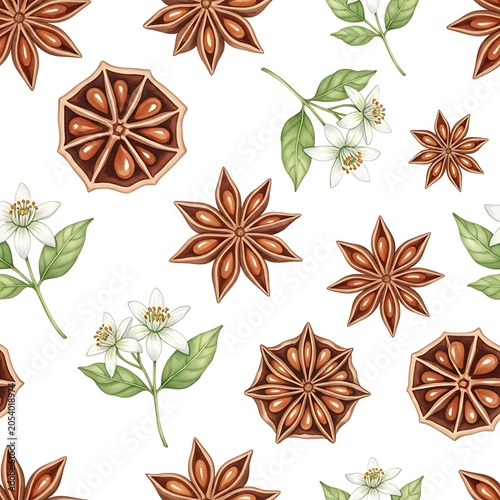 Botanical Pattern with Star Anise, Dried Orange, and Orange Blossoms.