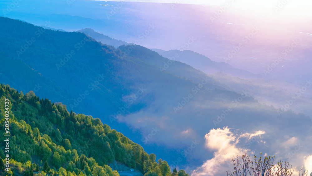 Fototapeta premium Misty mountain ridges covered in lush green forests during a golden sunrise