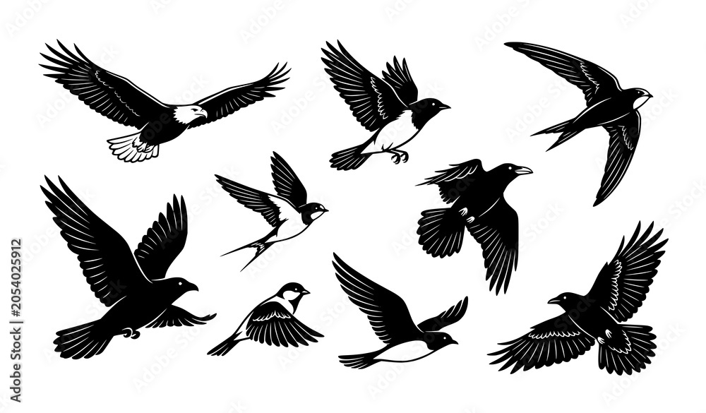 Obraz premium set of birds