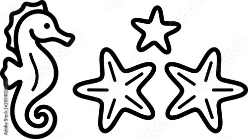 Photography Seahorse and Starfish Line Art Illustration - Ocean Wildlife Vector
