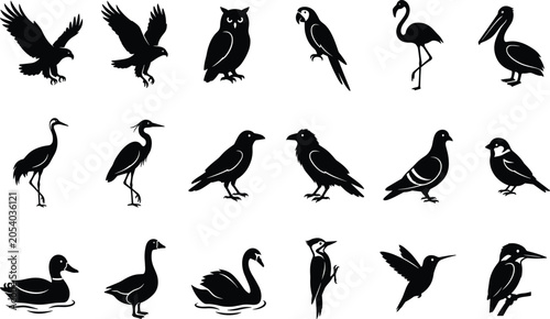 Foto Bird Silhouette Bundle Collection with Flying Waterfowl Songbirds Raptors and Ex