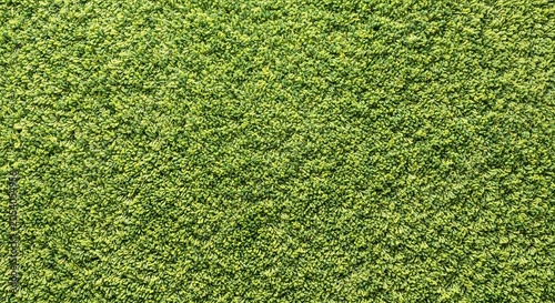 Close Up View Of Lush Green Artificial Turf Grass