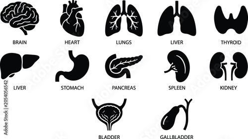Schilderij op canvas Human organ black silhouettes on white background, human organs body parts medic