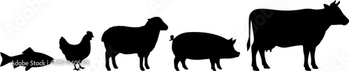 mal in farm pig goat chicken duck cow silhouette.