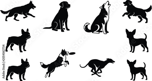 Schilderij op canvas Vector silhouettes of various dog breeds including german shepherd labrador retr