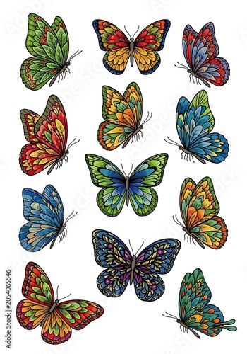 Colorful Butterfly Collection - A Vibrant Display of Natures Beauty.
