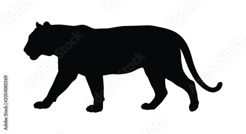 Photos Tiger Silhouette Against A White Background Bold Animal Shape