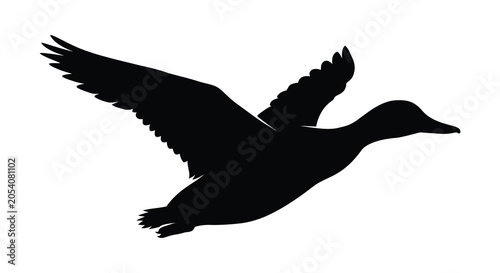 Φωτογραφία Flying Duck Silhouette Against A White Background