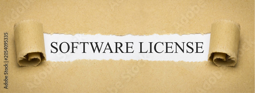 Tableau sur toile Software License
