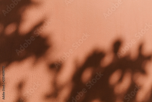 Konstfotografi Sharp tropical leaf shadow cast on a dark terracotta wall