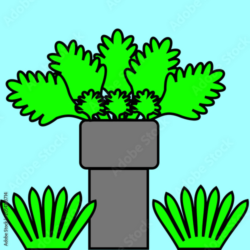 Plants
