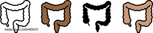 Foto Four different colored illustrations of the human large intestine anatomy in a r