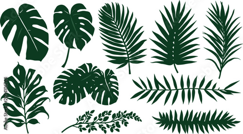 Foto Dark green tropical leaf vector illustrations including monstera, palm fronds, a
