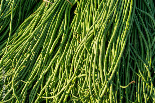 Pile of fresh green long beans tied with a string at a local market.