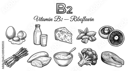 Hand-drawn set of Vitamin B2 riboflavin food sources icons, vintage engraved style vector illustration