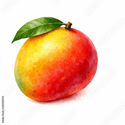 Red mango isolated on a white background