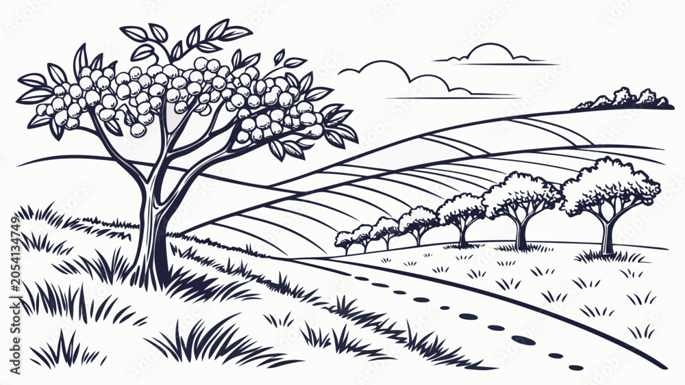 Fototapeta premium Orchard landscape line art illustration of rolling hills and fruit trees