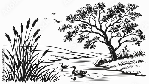 Black and white ink illustration of ducks swimming on a calm pond by a tree