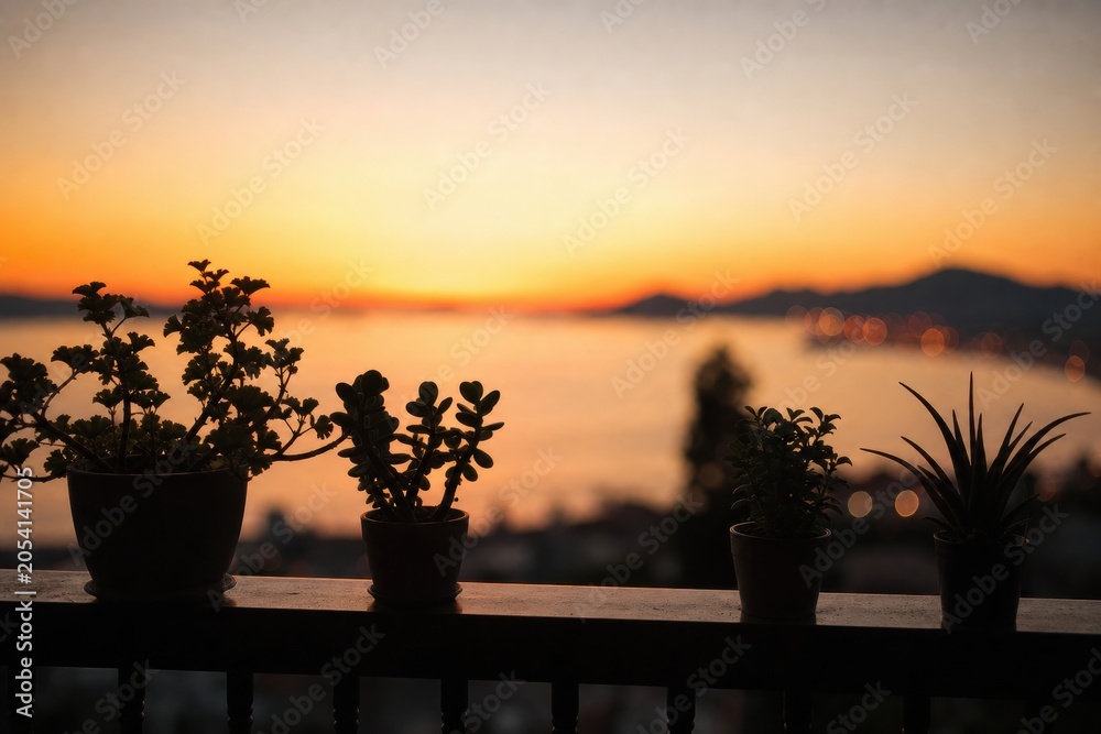 Fototapeta premium Potted plants on a balcony railing silhouette against a vibrant sunset sky overlooking a coastal bay with mountains and city lights in the distance during the golden hour