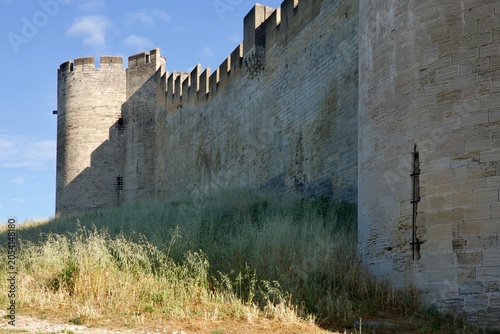 Fotografie old fort overlooking Avignon France