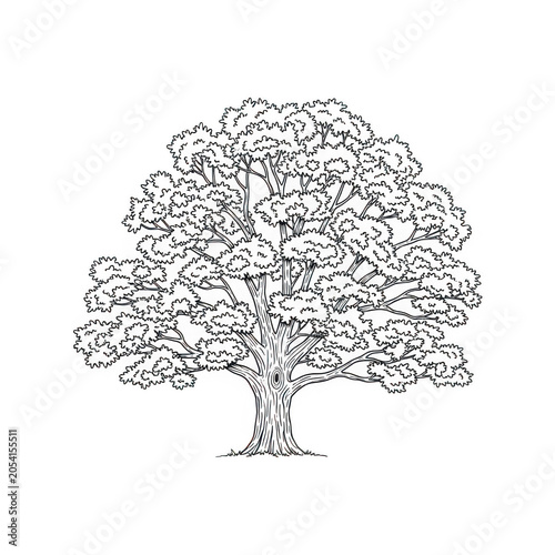 Detailed black and white tree illustration with branches