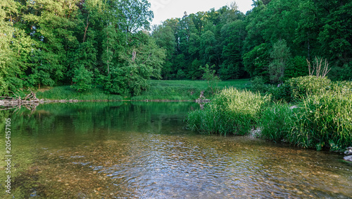 Фотография Forest Pond With Mirror Like Reflections